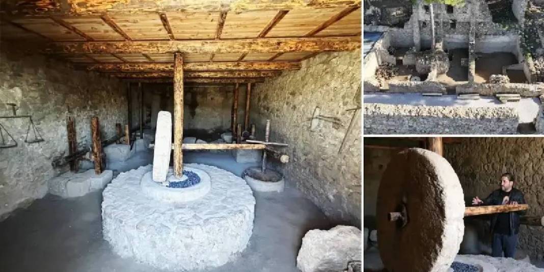 Tarihi kazılarda yeni keşifler! Zeytinyağı üretim merkezi tespit edildi: 3 bin yıl öncesine dayanıyor 6